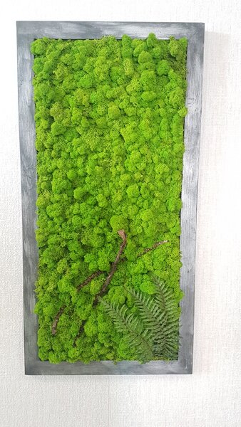 Machový obraz v patinovanom ráme 80 cm x 30 cm