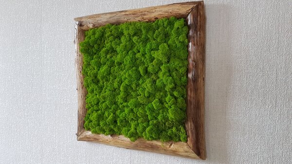 Machový obraz v masívnom ráme: 50cm x 50cm