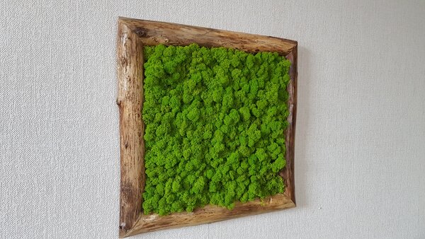 Machový obraz v masívnom ráme: 50cm x 50cm