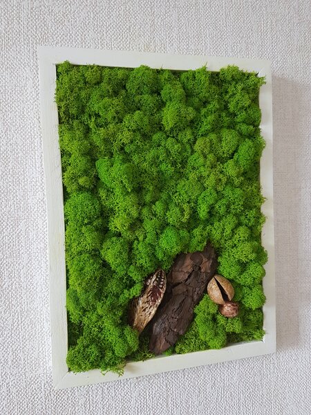 Machový obraz v bielom ráme 40cm x 30cm