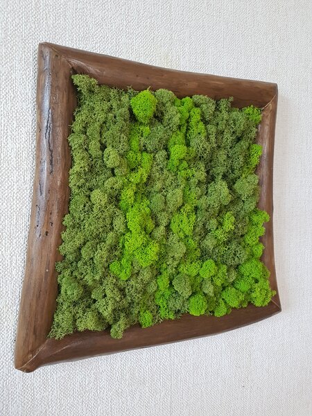 Machový obraz v asymetrickom ráme 40cm x 45cm