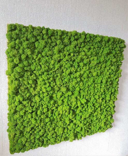Machový panel 90cm x 100cm