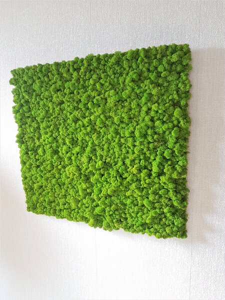 Machový panel 90cm x 100cm