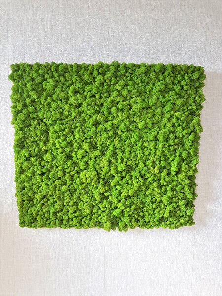 Machový panel 90cm x 100cm