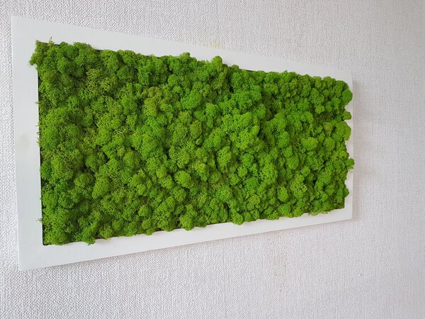 Machový obraz 40cm x 80cm