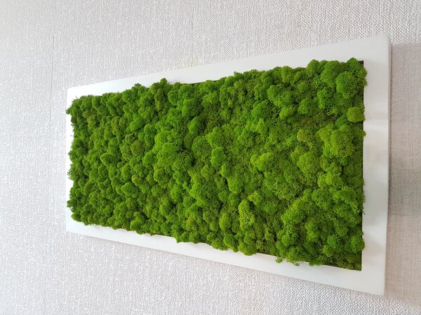 Machový obraz 40cm x 80cm