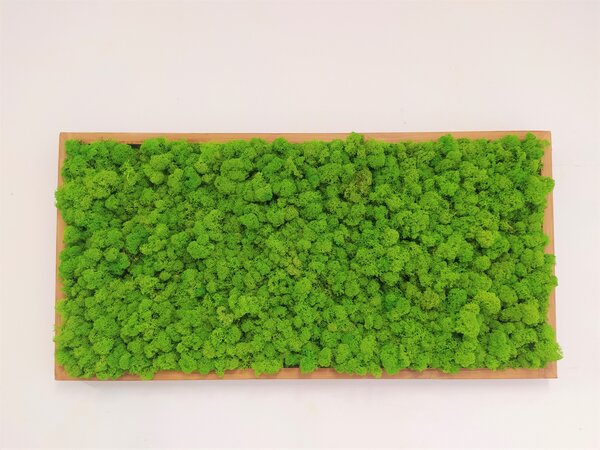 Machový obraz 40cm x 80cm