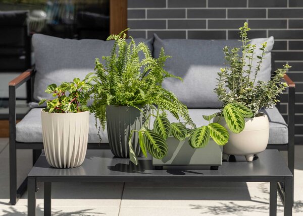 PLASTOVÝ KVETINÁČ BOTANICA SADA 2KS 30X24 CM+23X18,5 CM KRÉMOVÁ