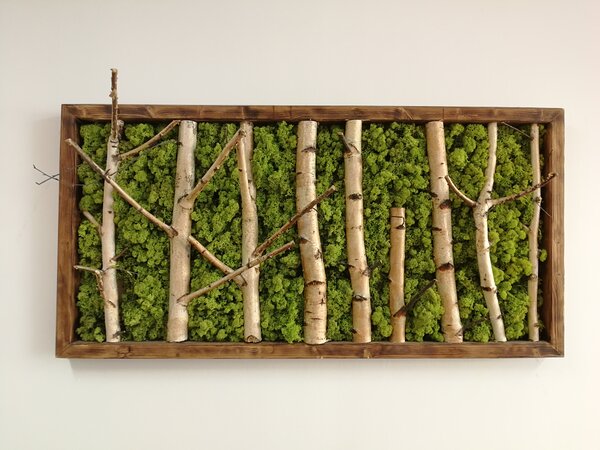 Machovo-brezový obraz 65cm x 130cm