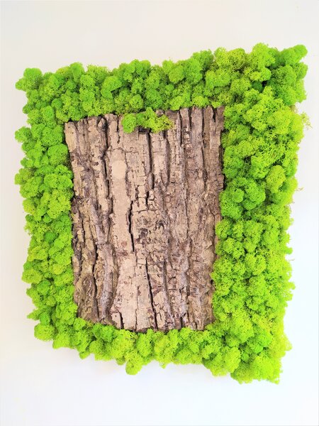 Machový obraz s kôrou 50cm x 50 cm
