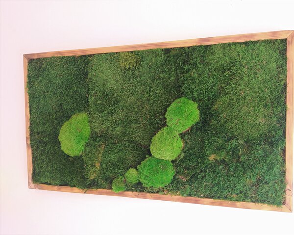 Machový obraz- lesný mach 30cm x 70cm