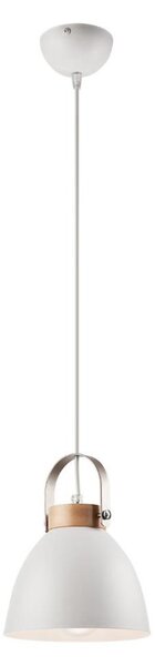 Luster na lane DANIELLE 1xE27/60W/230V
