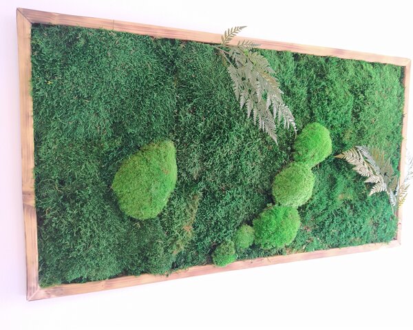 Machový obraz- lesný mach s papradím 30cm x 70cm