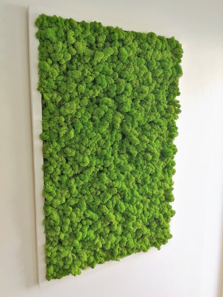 Machový obraz v bielom ráme 100cm x 65cm