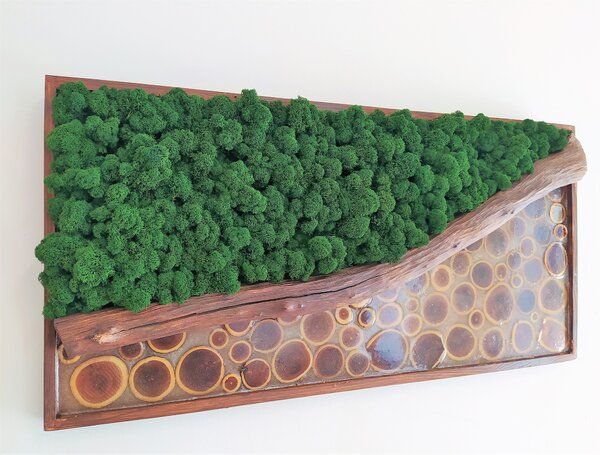 Machový obraz - tmavo zelený s epoxidom 40cm x 80cm