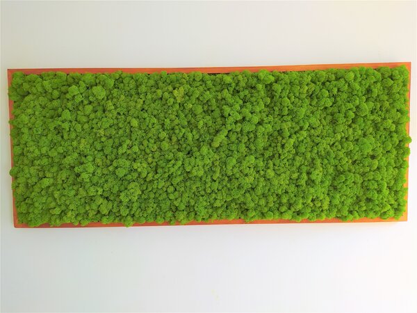 Machový obraz 60cm x 120cm