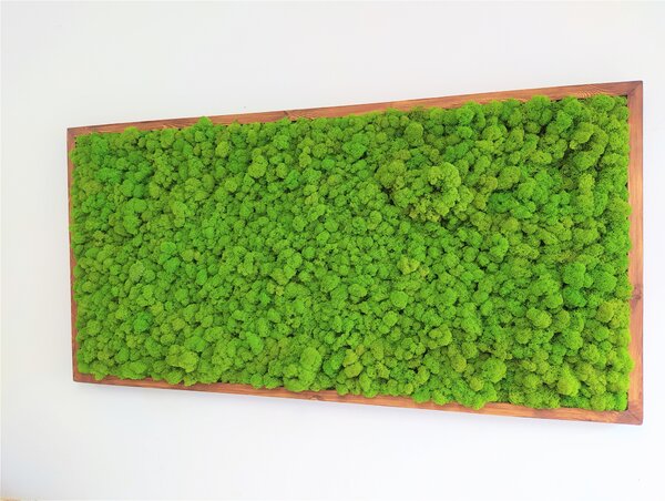 Machový obraz 60cm x 120cm