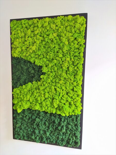 Machový obraz v čiernom ráme 135cm x 65cm