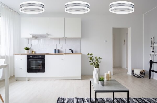 LED Stmievateľné stropné svietidlo SMART CORAL LED/24W/230V biela/strieborná + DO
