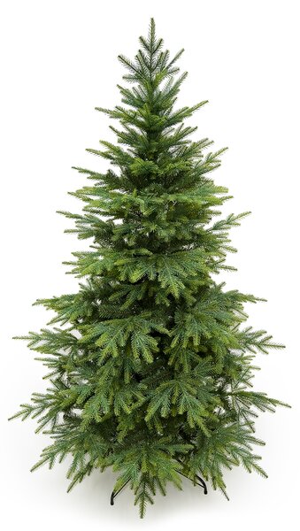 Smrek Kaukazský 3D- 190cm