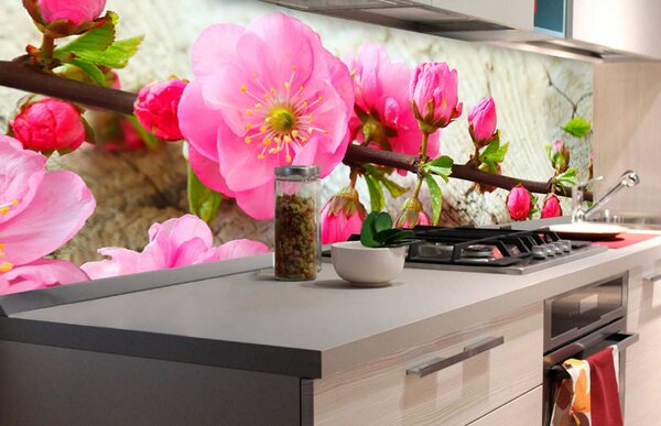 DIMEX | Fototapeta do kuchyne Sakura KI-180-053 | 180 x 60 cm | zelená, ružová