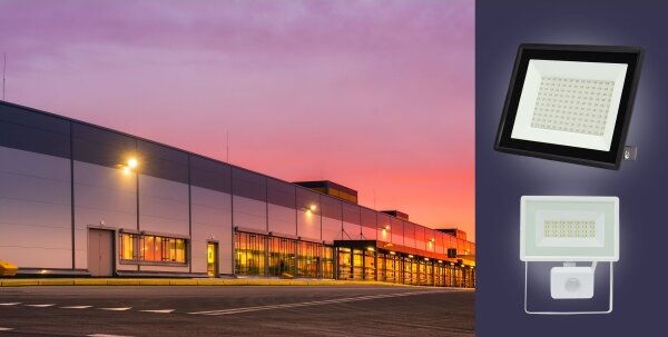 LED Vonkajší reflektor NOCTIS LUX 3 LED/30W/230V 3000K IP65 biela