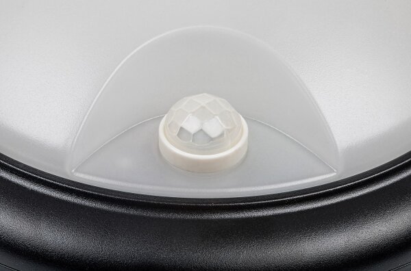 Rabalux 77028 - LED Vonkajšie nástenné svietidlo so senzorom LED/15W/230V IP54