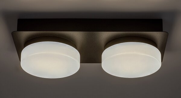 Rabalux 75002 - LED Stropné kúpeľňové svietidlo ATTICHUS 2xLED/5,5W/230V IP44