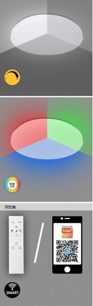 Rabalux 71035 - LED RGB Stmievateľné stropné svietidlo CERRIGEN LED/24W/230V