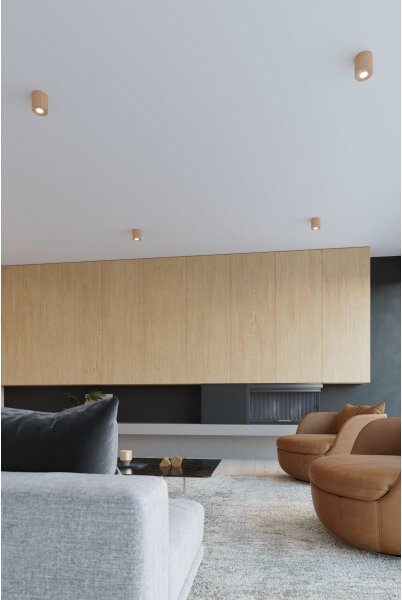 Brilagi - LED Nástenné svietidlo FRIDA 1xG9/3,5W/230V