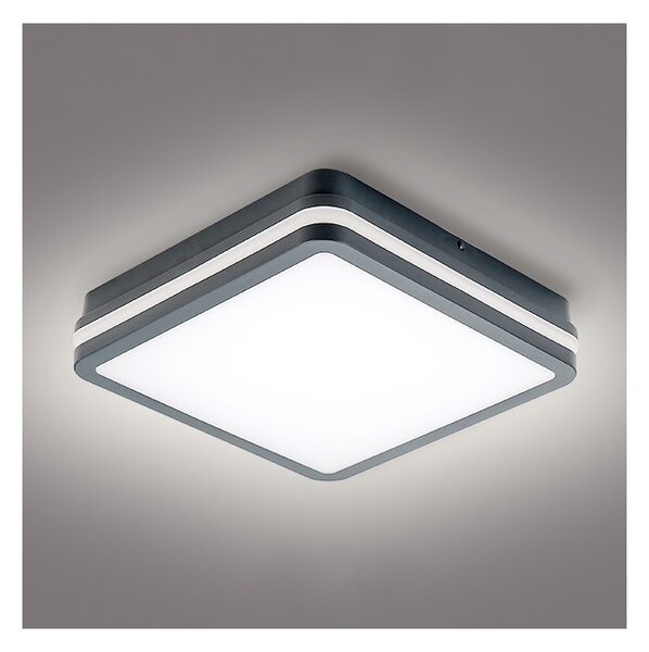Brilagi - BENE LED vonkajšie svietidlo so senzorom, 24 W, 230 V, 26x26 cm, IP54