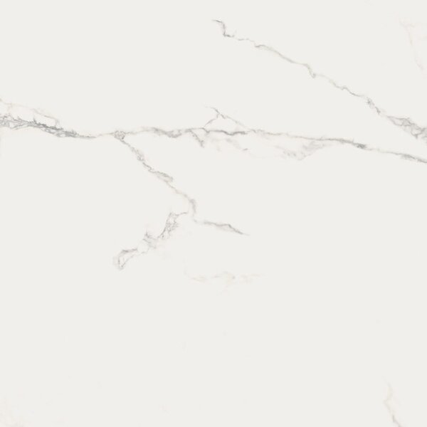 Finezza Bianco Pulido 120x120 R