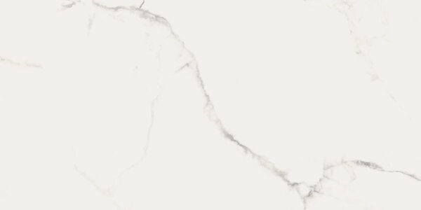 Finezza Bianco Pulido 60x120 R