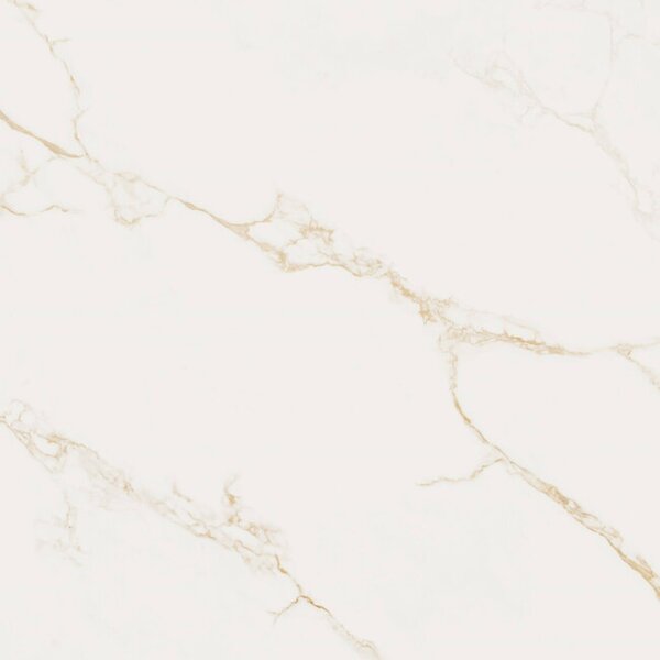 Finezza Oro Pulido 120x120 R