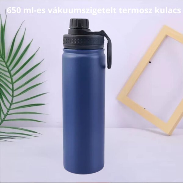 Modrá termoska z nehrdzavejúcej ocele s nepriepustným uzáverom, funkcia udržiavania chladu aj tepla - 650 ml