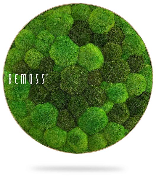 Machový obraz kruh BOLMOSS DUO Light Green - Priemer 40 cm