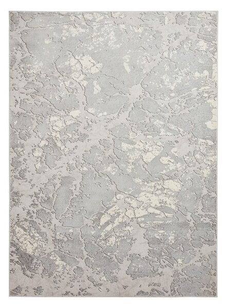 Sivý/béžový koberec 170x120 cm Apollo - Think Rugs