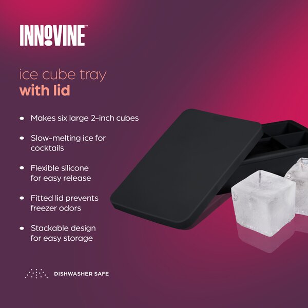 Innovine Forma na kocky ľadu s vekom