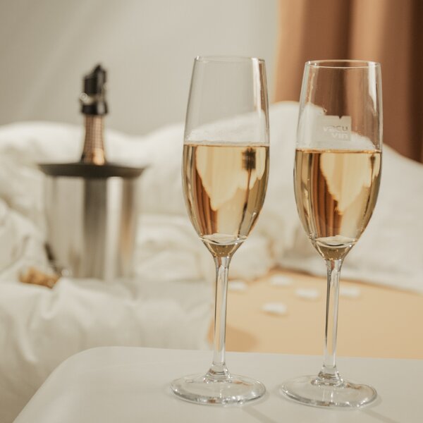 Chladiaca nádoba na sekt s aktívnou vložkou ELEGANT Vacu Vin - nerez