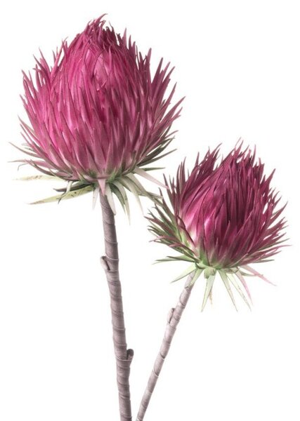 Umelá kvetina Protea 1P134, H75cm