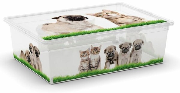 KIS Dekoračný úložný box C-Box Puppy & Kitten L, 27 l
