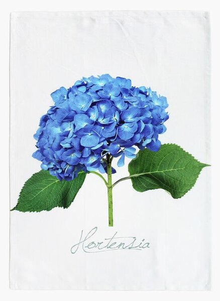 Keprová utierka HORTENZIA MODRÁ 50 x 71 cm
