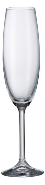 Bohemia Crystal Pohár Colibri na šampanské 220ml (set po 6ks)