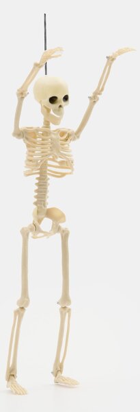 Sinsay - Halloweenska LED dekorácia - kostlivec v kotlíku - čierna