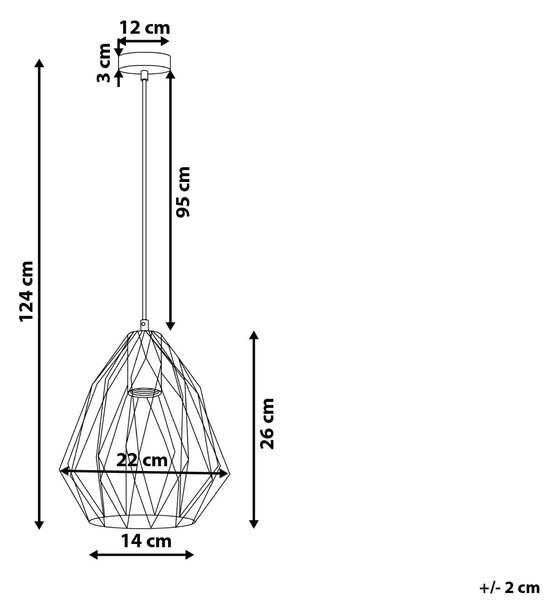 Závesná stropná lampa čierna s jedným svetlom drôtené klietkové tienidlo industriálny štýl