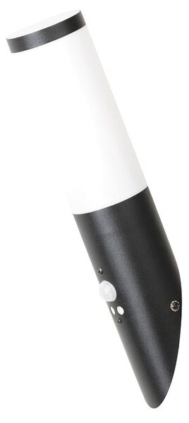 RABALUX 8146 Black torch exteriérové nástenné svietidlo so senzorom 1xE27 matná čierna