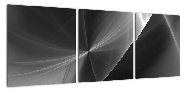 Čiernobiely abstraktný obraz (Obraz 90x30cm)