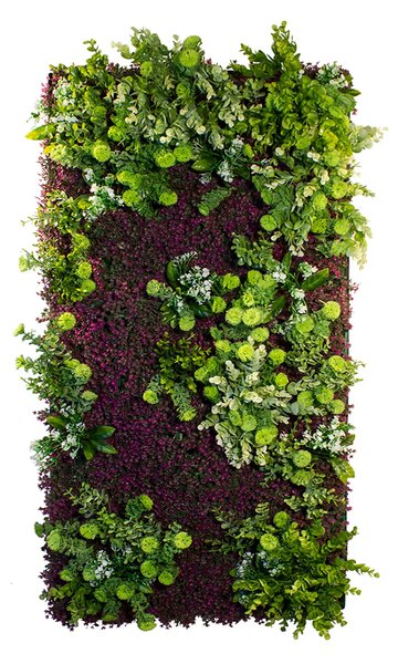 Vertical garden Purple Haze