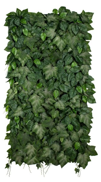 Vertical garden Ivylace