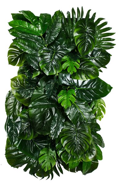 Vertical garden Monstera Madness